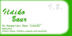 ildiko baur business card